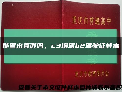 能查出真假嗎，c3增駕b2駕駛證樣本縮略圖