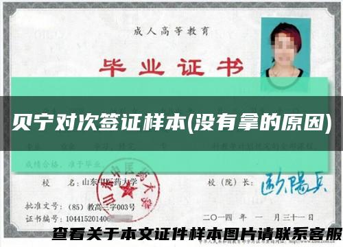 貝寧對次簽證樣本(沒有拿的原因)縮略圖