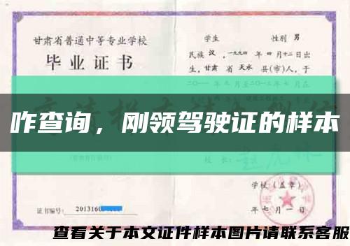 咋查詢，剛領駕駛證的樣本縮略圖