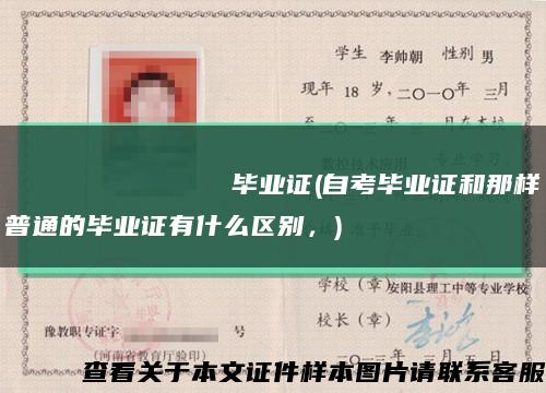 Институтжурналистикиилитературноготворчества畢業證(自考畢業證和那樣普通的畢業證有什么區別，)縮略圖