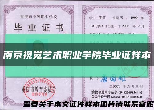 南京視覺藝術職業學院畢業證樣本縮略圖