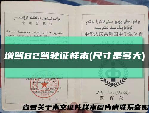 增駕B2駕駛證樣本(尺寸是多大)縮略圖