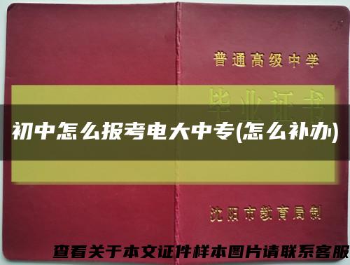 初中怎么報考電大中專(怎么補辦)縮略圖