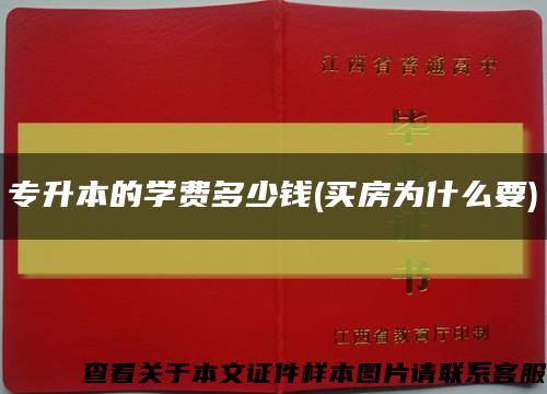 專升本的學費多少錢(買房為什么要)縮略圖