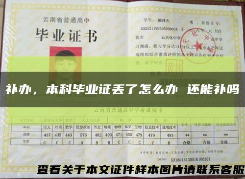 補辦，本科畢業證丟了怎么辦 還能補嗎縮略圖