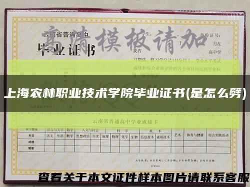 上海農林職業技術學院畢業證書(是怎么劈)縮略圖