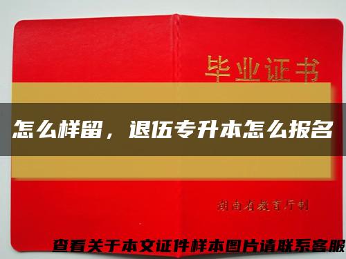 怎么樣留，退伍專升本怎么報名縮略圖