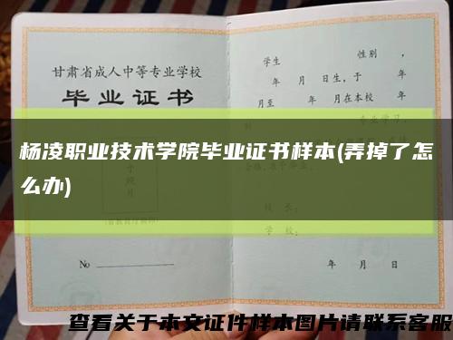 楊凌職業技術學院畢業證書樣本(弄掉了怎么辦)縮略圖