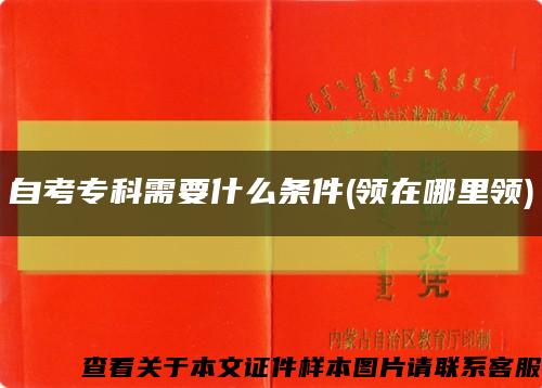 自考?？菩枰裁礂l件(領在哪里領)縮略圖