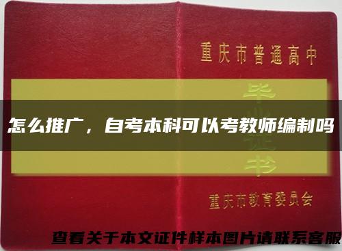 怎么推廣，自考本科可以考教師編制嗎縮略圖