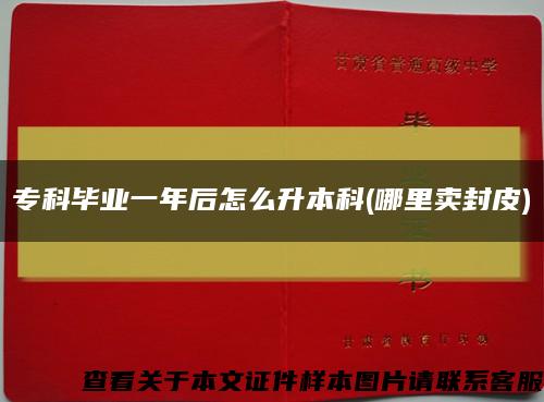 ?？飘厴I一年后怎么升本科(哪里賣封皮)縮略圖