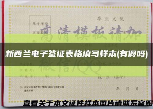 新西蘭電子簽證表格填寫樣本(有假嗎)縮略圖
