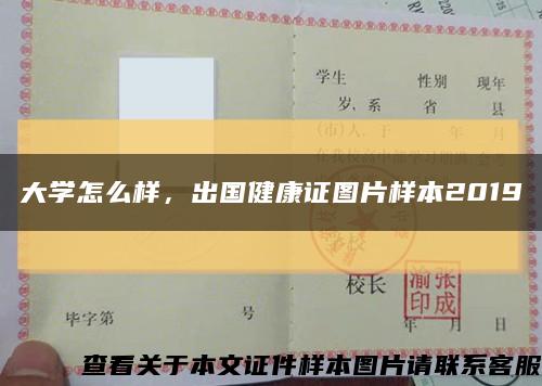 大學怎么樣，出國健康證圖片樣本2019縮略圖