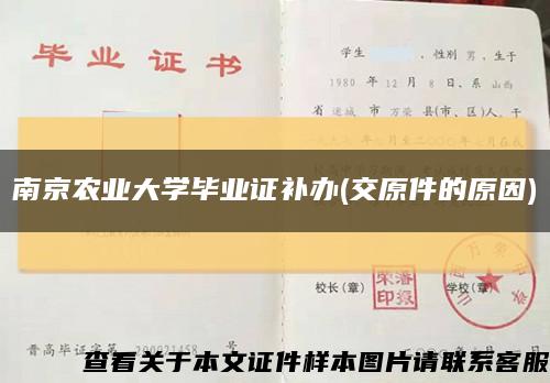 南京農業大學畢業證補辦(交原件的原因)縮略圖