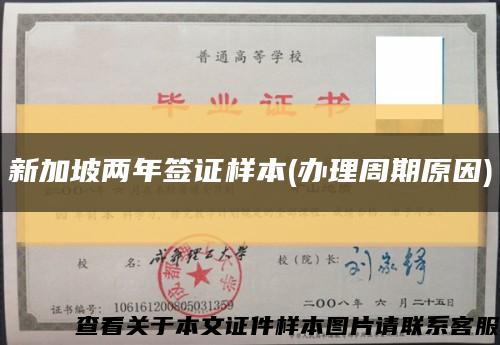 新加坡兩年簽證樣本(辦理周期原因)縮略圖