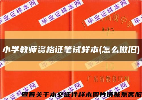小學教師資格證筆試樣本(怎么做舊)縮略圖