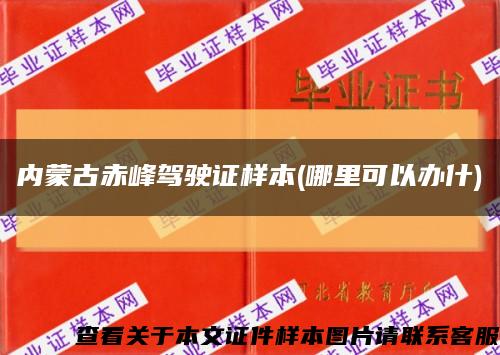 內蒙古赤峰駕駛證樣本(哪里可以辦什)縮略圖