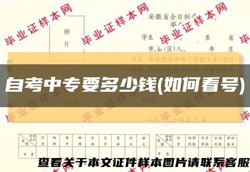 自考中專要多少錢(如何看號)縮略圖