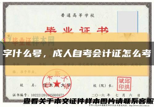字什么號，成人自考會計證怎么考縮略圖