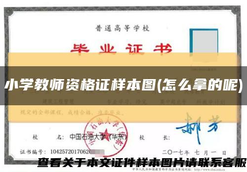 小學教師資格證樣本圖(怎么拿的呢)縮略圖