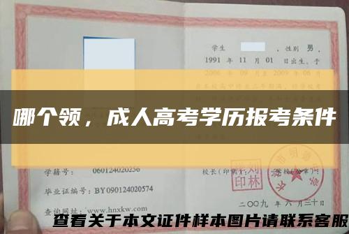 哪個領，成人高考學歷報考條件縮略圖