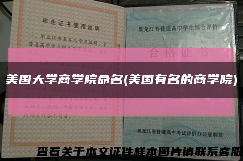 美國大學商學院命名(美國有名的商學院)縮略圖