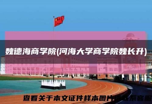 魏德海商學院(河海大學商學院魏長升)縮略圖