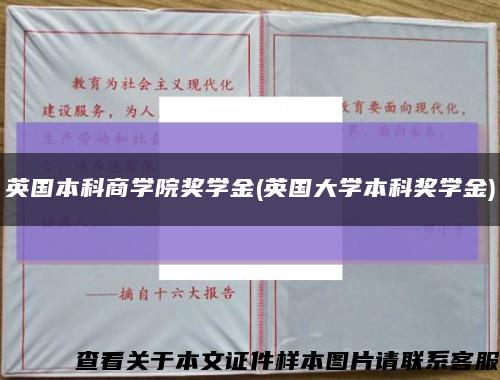 英國本科商學院獎學金(英國大學本科獎學金)縮略圖