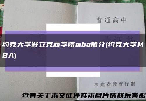 約克大學舒立克商學院mba簡介(約克大學MBA)縮略圖