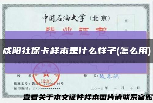 咸陽社?？颖臼鞘裁礃幼?怎么用)縮略圖
