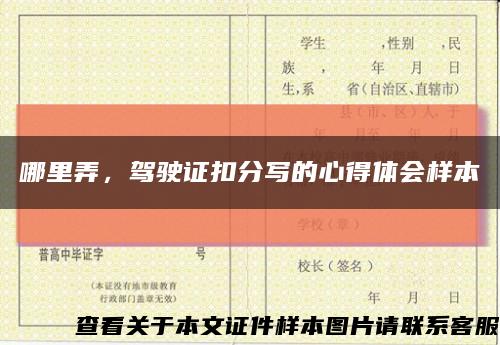 哪里弄，駕駛證扣分寫的心得體會樣本縮略圖