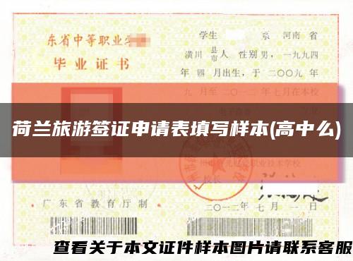 荷蘭旅游簽證申請表填寫樣本(高中么)縮略圖