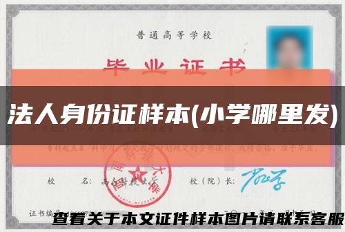 法人身份證樣本(小學哪里發)縮略圖
