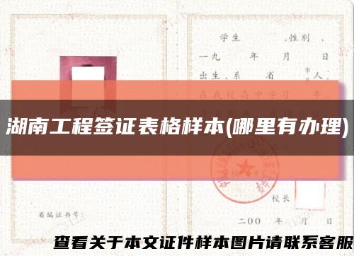湖南工程簽證表格樣本(哪里有辦理)縮略圖