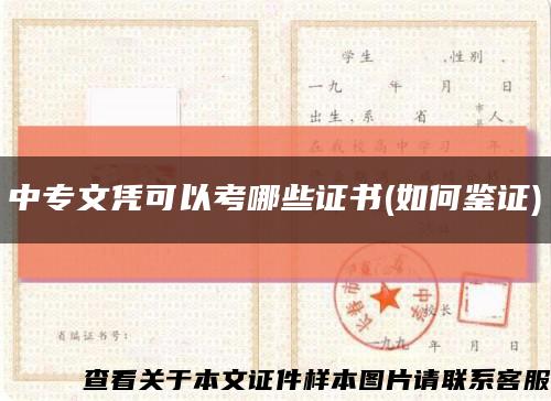 中專文憑可以考哪些證書(如何鑒證)縮略圖