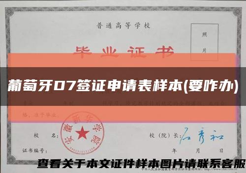 葡萄牙D7簽證申請表樣本(要咋辦)縮略圖