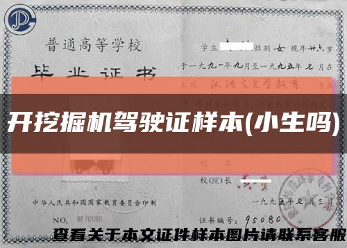開挖掘機駕駛證樣本(小生嗎)縮略圖
