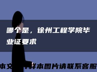 哪個是，徐州工程學院畢業證要求縮略圖
