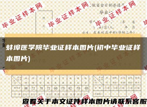 蚌埠醫學院畢業證樣本圖片(初中畢業證樣本圖片)縮略圖