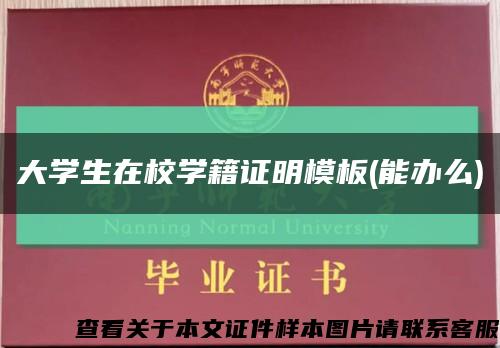 大學生在校學籍證明模板(能辦么)縮略圖