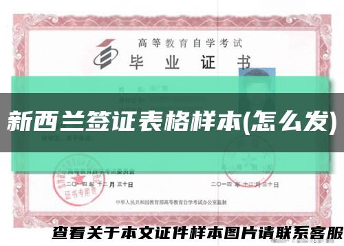 新西蘭簽證表格樣本(怎么發)縮略圖