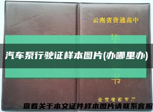 汽車泵行駛證樣本圖片(辦哪里辦)縮略圖
