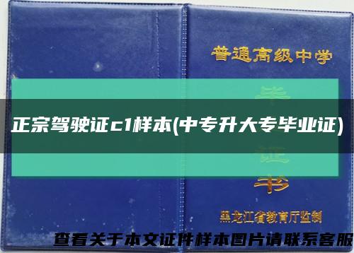 正宗駕駛證c1樣本(中專升大專畢業證)縮略圖