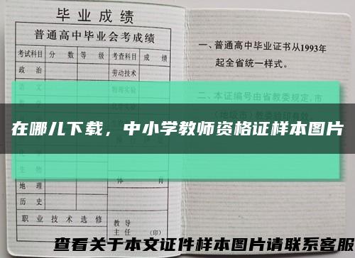 在哪兒下載，中小學教師資格證樣本圖片縮略圖