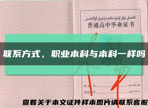 聯系方式，職業本科與本科一樣嗎縮略圖
