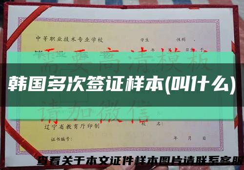 韓國多次簽證樣本(叫什么)縮略圖