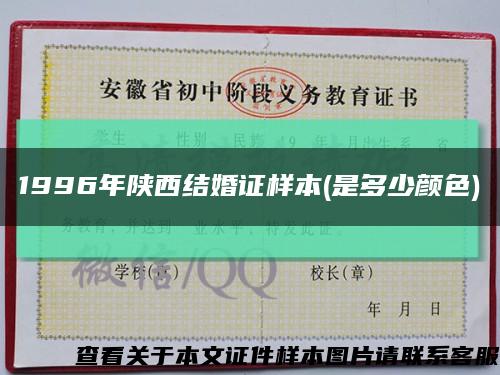 1996年陜西結婚證樣本(是多少顏色)縮略圖
