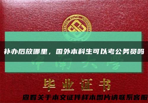 補辦后放哪里，國外本科生可以考公務員嗎縮略圖