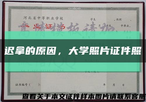 遲拿的原因，大學照片證件照縮略圖