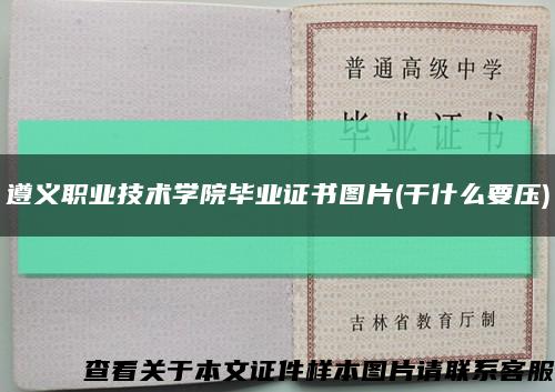 遵義職業技術學院畢業證書圖片(干什么要壓)縮略圖